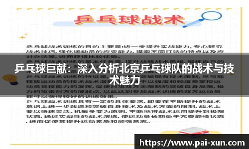 乒乓球巨献：深入分析北京乒乓球队的战术与技术魅力