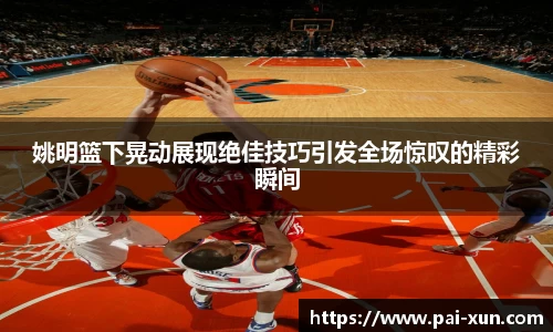 姚明篮下晃动展现绝佳技巧引发全场惊叹的精彩瞬间