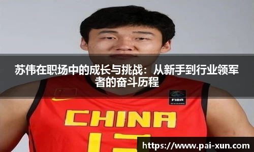 苏伟在职场中的成长与挑战：从新手到行业领军者的奋斗历程